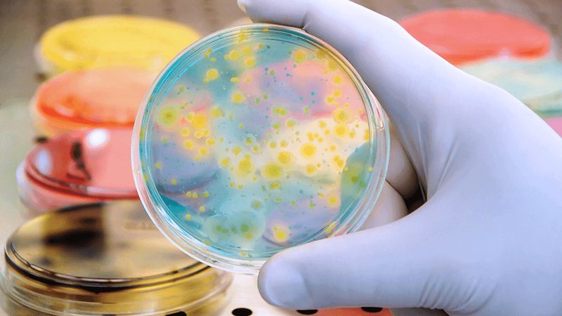 二类医疗器械注册费用明细：揭秘注册流程中的关键要素**