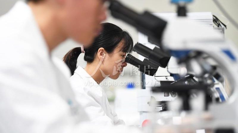 分子生物学试剂：精准操作，解锁科研新篇章**