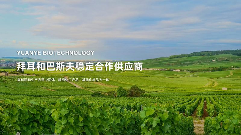 广州药业有限公司
