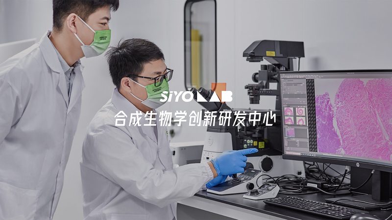 如何识别靠谱的CRO优化团队：关键要素与避坑指南**