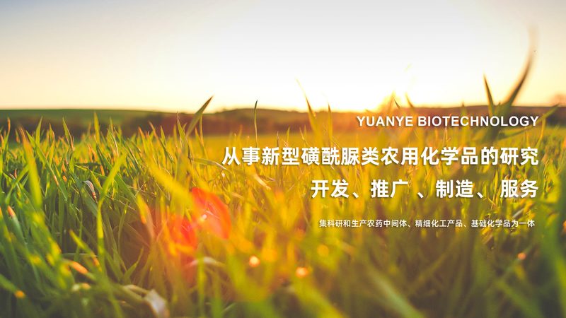 生物科技护肤品：如何通过技术看透品牌差异**