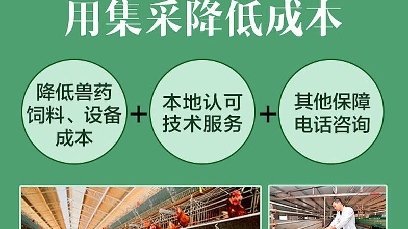 PCR检测：精准诊断的利器